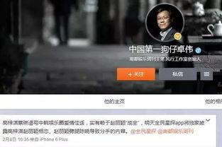 青枫工作室更新爆料视频,揭秘神秘项目,精彩内容抢先看! 第3张 青枫工作室更新爆料视频,揭秘神秘项目,精彩内容抢先看! 第3张
